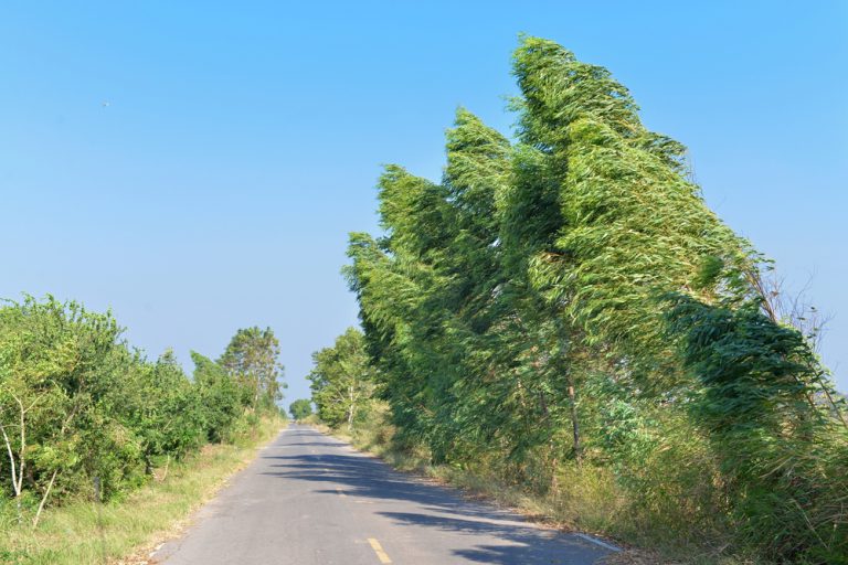 How to Drive Safely in Strong Wind Defensive Driving