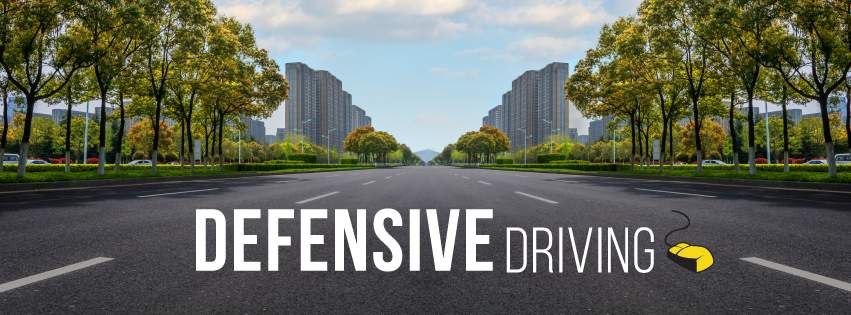 Defensive Driving logo